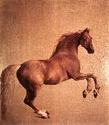 STUBBS, George Whistlejacket r oil